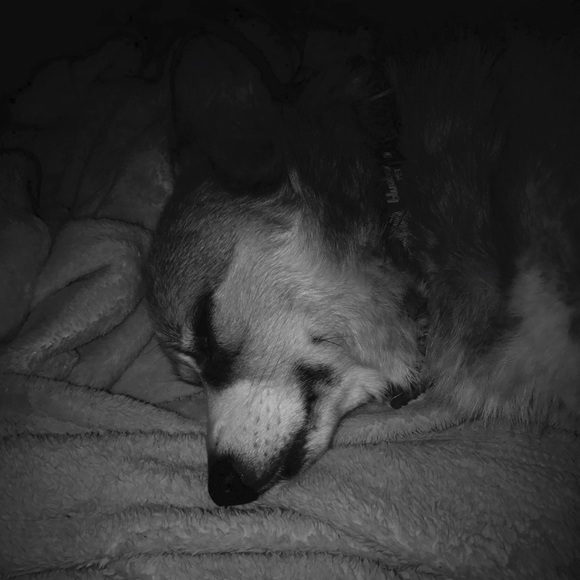 Meet your Posher, Sarah - Picture 3 of 3